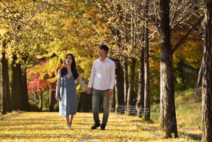 [크기변환]영주-1-3 연인이 부석사 은행나무 길을 걷고 있다.jpg