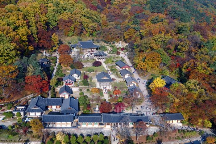 [크기변환]영주-1-1 단풍이 물든 부석사 항공사진.jpg