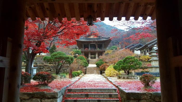 [크기변환]영주-1-5 부석사 안양루 가을 전경.jpg