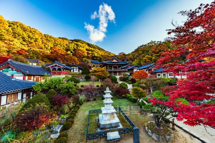 [크기변환]영주-1-6 단풍이 물든 부석사 전경.jpg