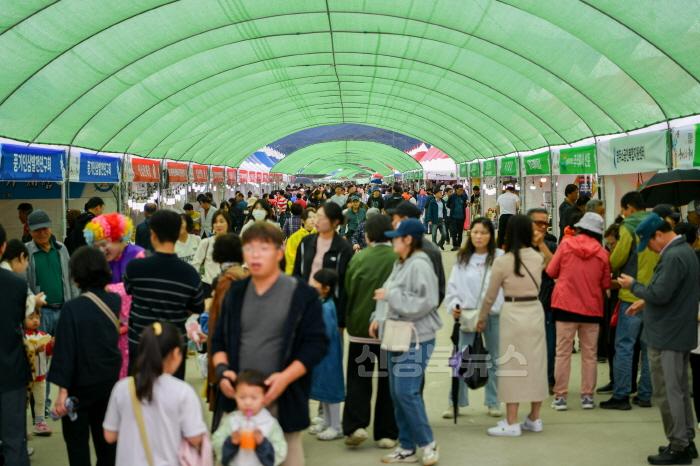[크기변환]영주-2-4 방문객들로 붐비는 풍기인삼축제장 모습.jpg