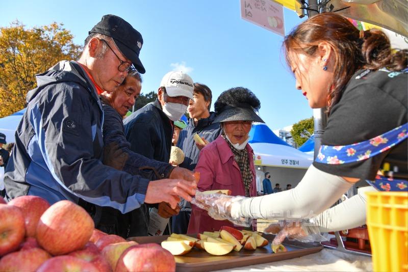 영주-1-7 2023 영주장날 농특산물 대축제가 펼쳐지는 부석사 잔디광장 판매장에서 관광객들이 영주사과를 시식하고 있다.jpg