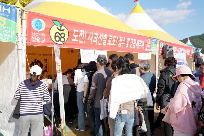 [크기변환]241031보도자료(청송사과의 끝없는 비상 _제18회 청송사과축제_ 연일 수많은 관광객들로 북적-사과 선별 로또).jpg