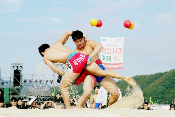 [크기변환]241031보도자료(청송사과의 끝없는 비상 _제18회 청송사과축제_ 연일 수많은 관광객들로 북적-황금사과배 전국고교장사씨름대회) (2).jpg