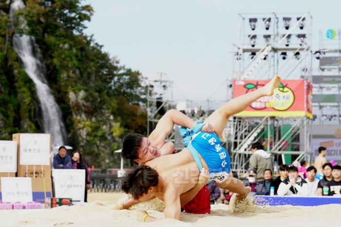 [크기변환]241031보도자료(청송사과의 끝없는 비상 _제18회 청송사과축제_ 연일 수많은 관광객들로 북적-황금사과배 전국고교장사씨름대회) (1).jpg