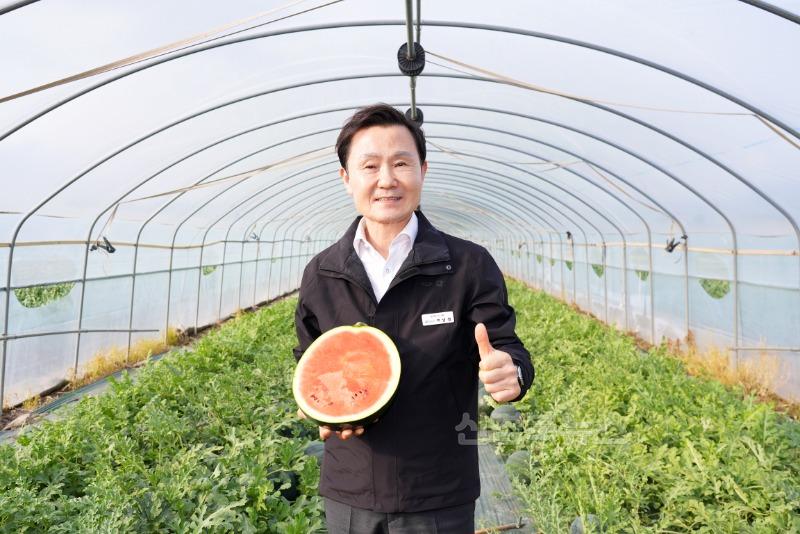 04.21-2 보도자료(25년도 우곡 수박 첫 출하)(2).jpg