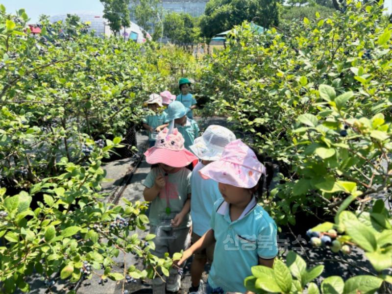 4_경주동궁원 블루베리 열매따기 체험.JPG
