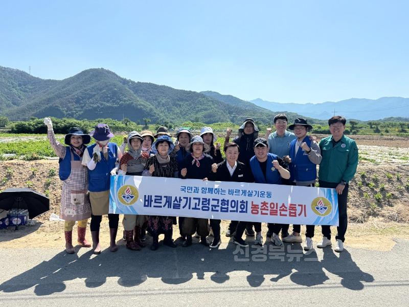 06.05-추가1 보도자료(바르게살기운동 고령군협의회 농촌일손돕기)(1).jpg