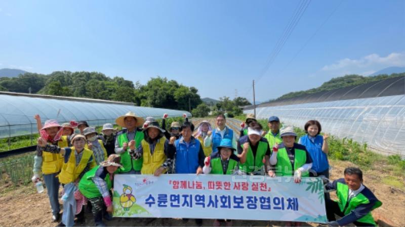 성주군사진(수륜면 지역사회보장협의체 고구마 모종 파종)1.jpg