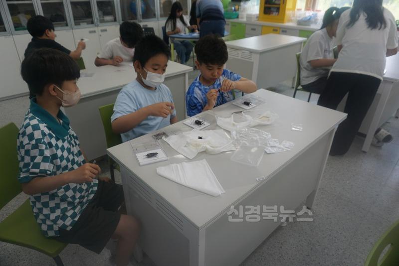 곤충2.JPG