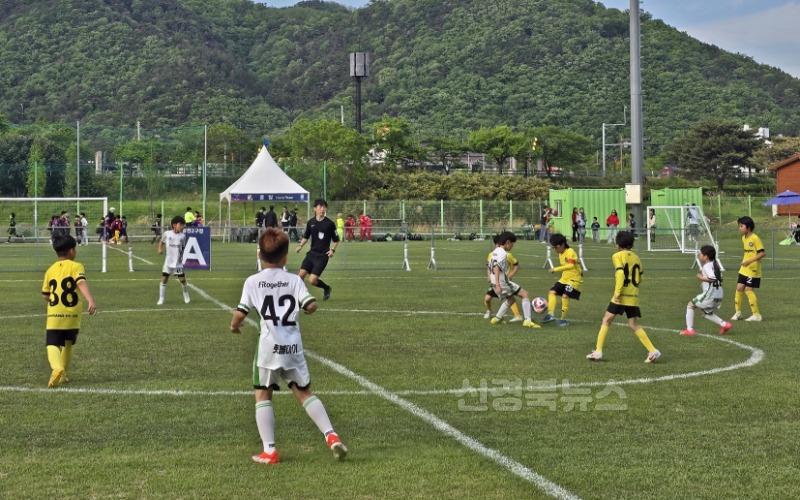 2. 화랑대기 전국 유소년 축구대회 개최 역대 최대 규모.jpg