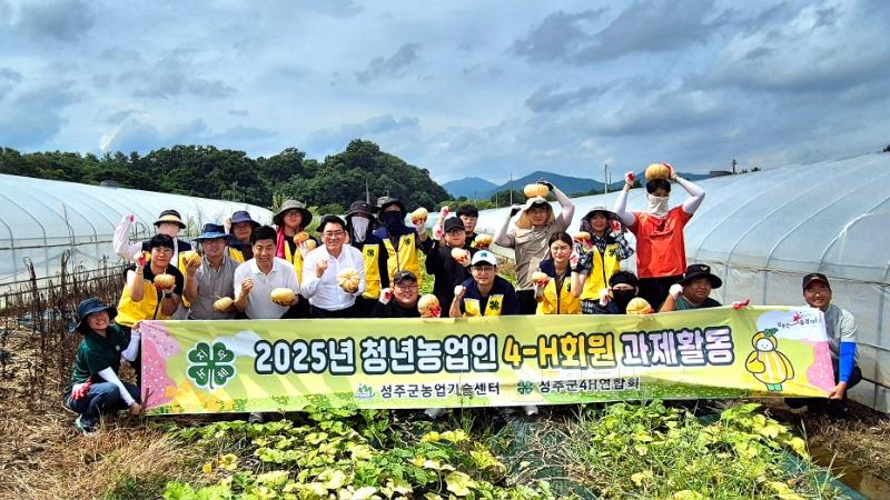 성주군사진(성주군4-H연합회  ‘사랑의 호박’수확  땀의 결실!).jpg
