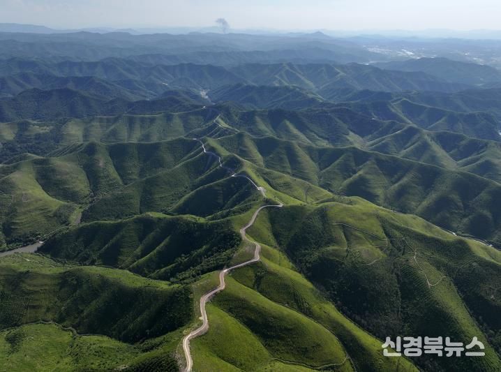 안동시, 산불피해 산림복구 기본계획 착수