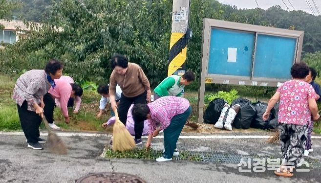 김천시 감천 클린 릴레이 2025-추석맞이 환경정비