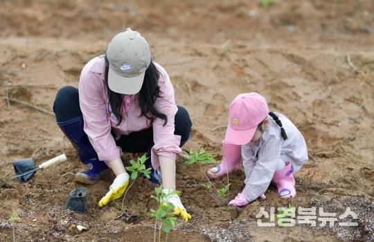 1차 진달래심기 자원봉사 투어 모습