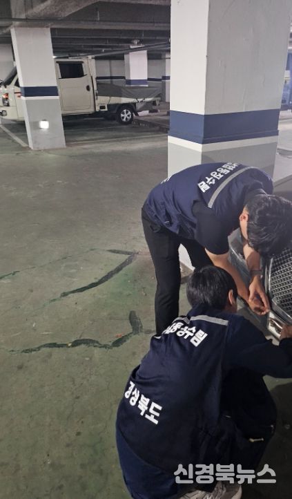 경상북도 체납합동징수팀의 체납차량 번호판 영치활동 모습