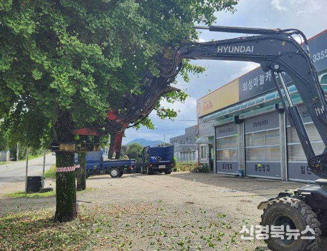 진동 수확기로 은행 열매 신속 수거