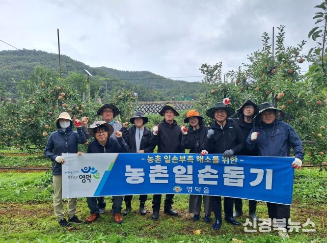 영덕읍 직원들, 사과농가 찾아 일손 돕기 봉사활동