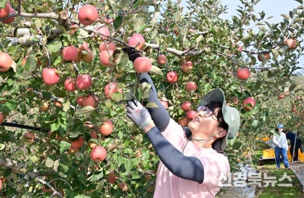 청송군, 가을철 농촌일손돕기 추진