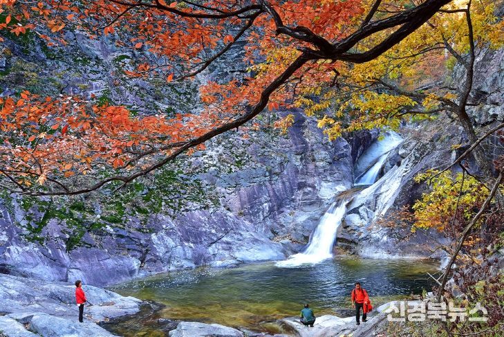 깊어가는 가을, 철도로 떠나는 울진 걷기 여행