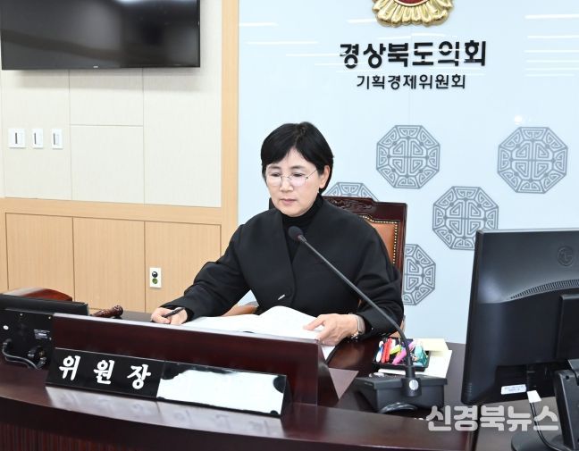 에너지국, 메타국 행감 진행하는 이선희 기획경제위원장