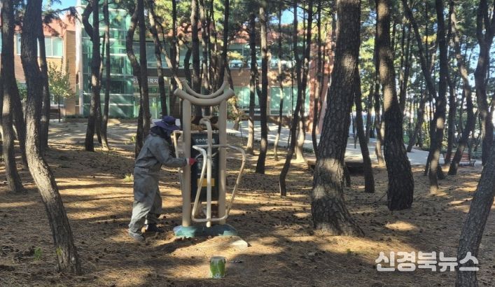 종려나무 월동 준비