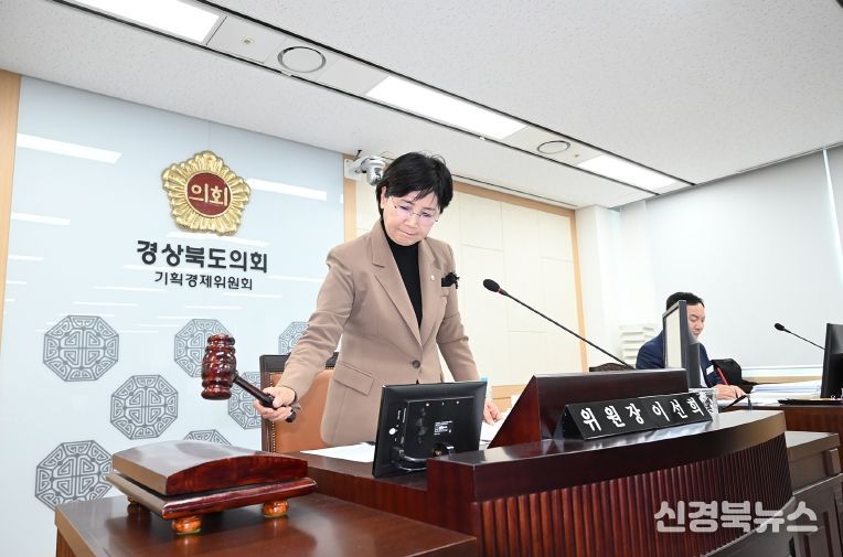 기획경제위원회 회의를 진행하는 이선희 위원장