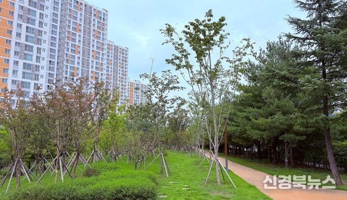 구미시, '녹색도시 우수사례' 전국 1위…기후대응숲 최우수상 수상