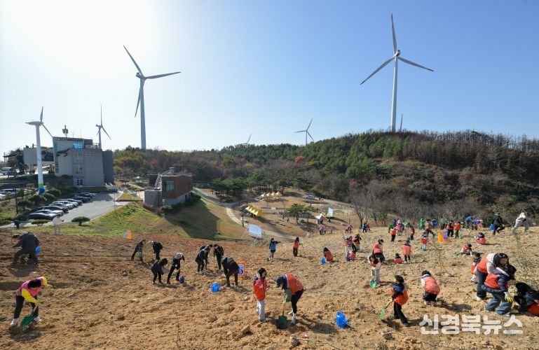 영덕군 별파랑 희망심기