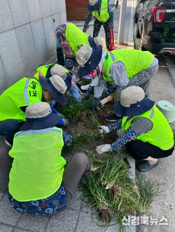 노인일자리 공익활동사업 참여자 대규모 모집