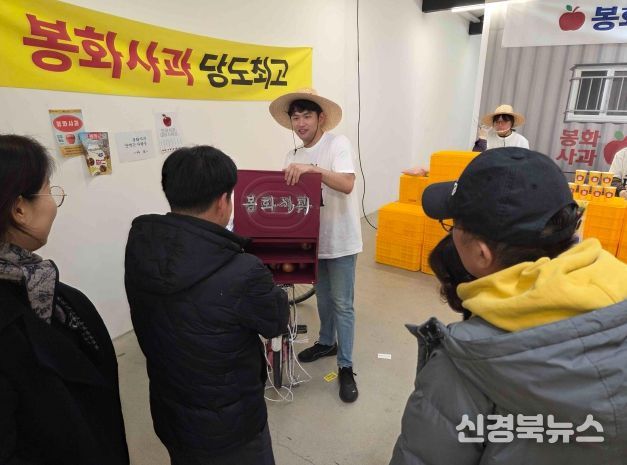 사과 개수 맞히기 게임