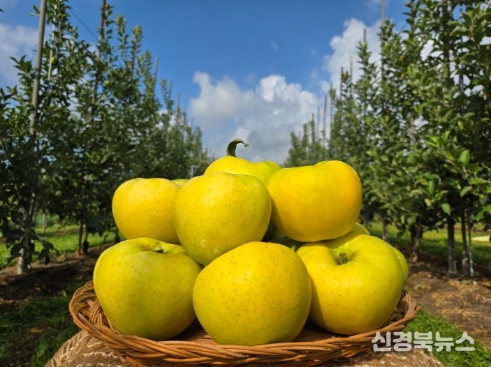 군위군, 농림축산식품부 스마트과수원특화단지조성 공모사업 최종 선정