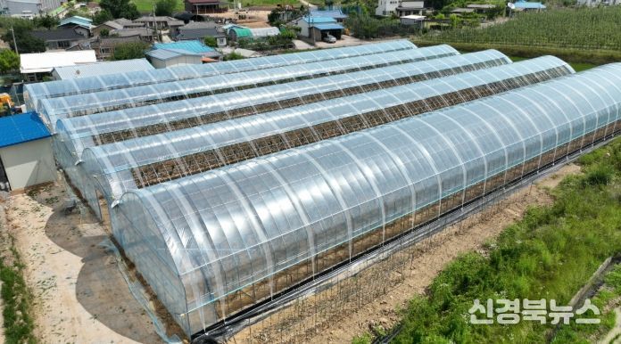 스마트과수원 특화단지 조성 공모사