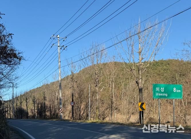 의성군, 주요 시가지 가로수 465본 가지치기 완료