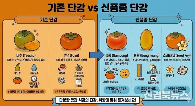 국산 단감 신품종 비교 안내 이미지 : 기존 일본 품종 단감과 국산 신품종 ‘감풍’, ‘봉황’, ‘스위트폴리’의 특성과 장점을 비교해 소개하고 있다.