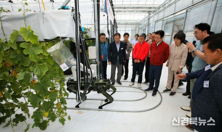 참외 산업 혁신 성과 주목!