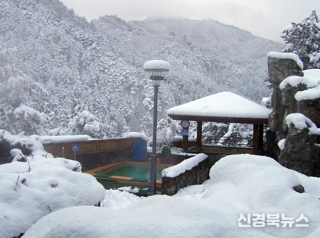 연말연시 온천·일출·미식 겨울 울진의 매력