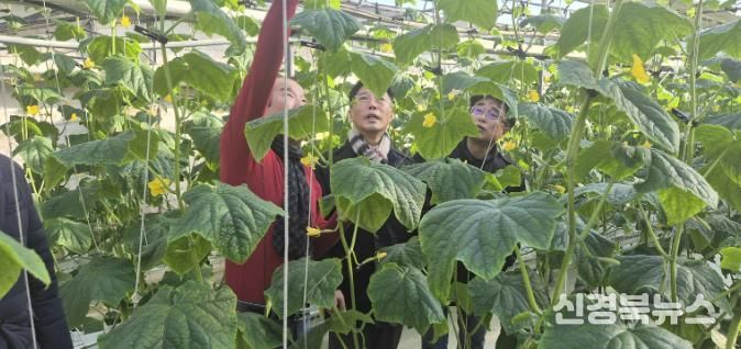 상주시, 새해 농사의 시작을 알리는 1월 시설 하우스 방문