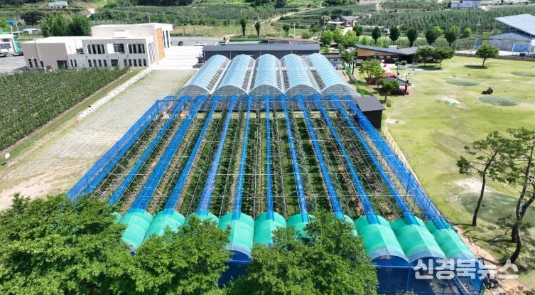 청송군, 2026년 농정운영 방향 발표[미래농업 부자청송-01 황금사과연구단지 운영)