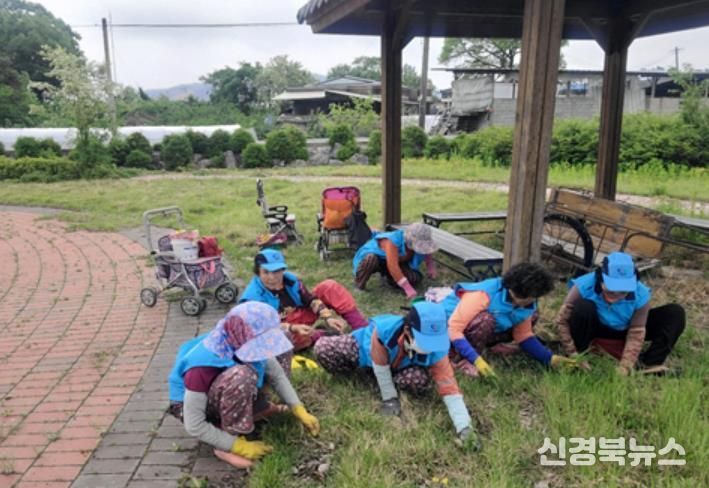 안동시, 2026년 노인일자리 및 사회활동 지원사업 본격 시행!