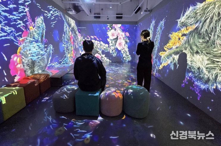 달서구, 국립극장 실감콘텐츠 상영…“공연예술을 디지털로 만나다”