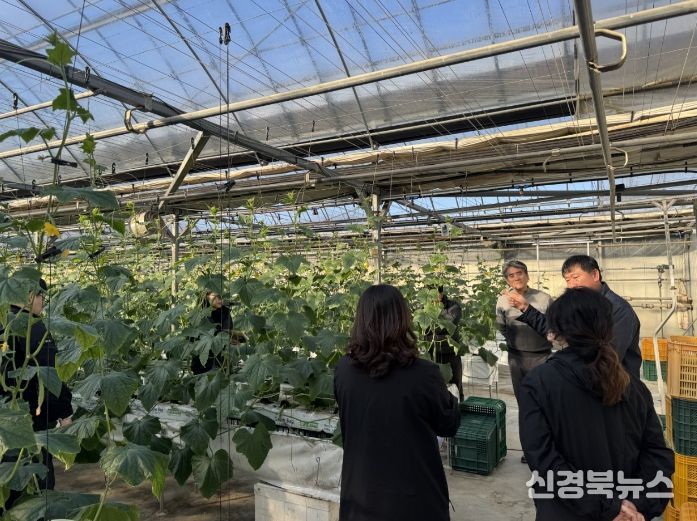 경북농업기술원, 한파 대비 시설원예 에너지 절감 현장 기술 지원