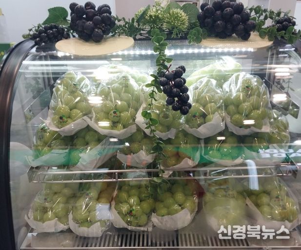 영주산 샤인머스캣 전시모습.