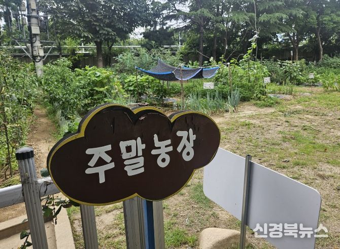 주말농장 무상 분양 실시