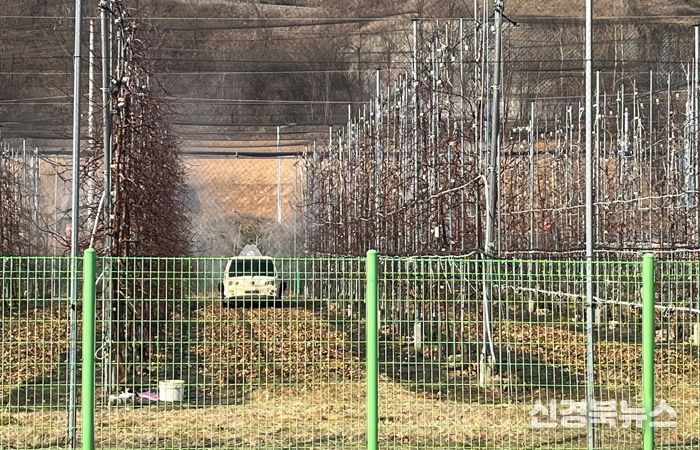안동시, 사과․배 농가 과수화상병 예방 방제 추진