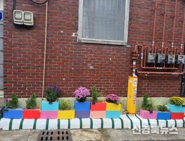 2025년 활동 사진(달서구 두류1 2동 화단 조성 후)