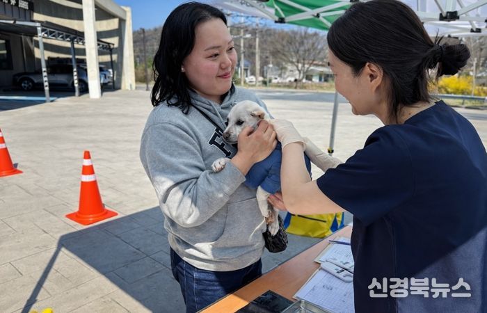 경주시, 반려견 광견병 무료 예방접종 실시
