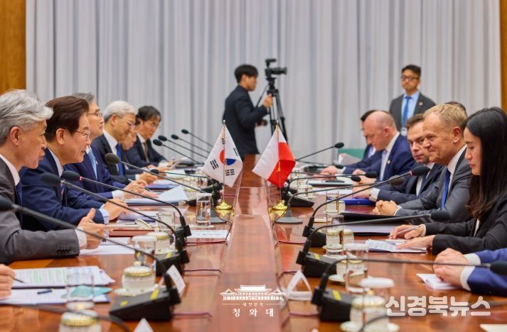 한·폴란드 정상회담 확대회담(청와대)