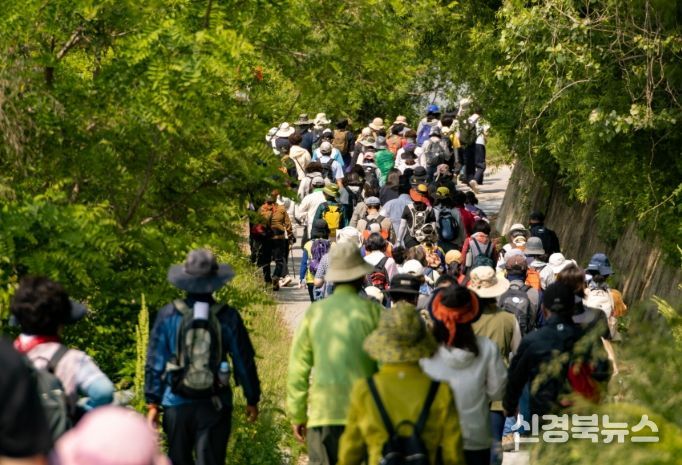 영주시, 봄철 걷기 명소 ‘동서트레일 영주 구간’ 주목